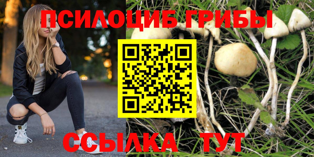 Галлюциногенные грибы Magic Shrooms Мытищи