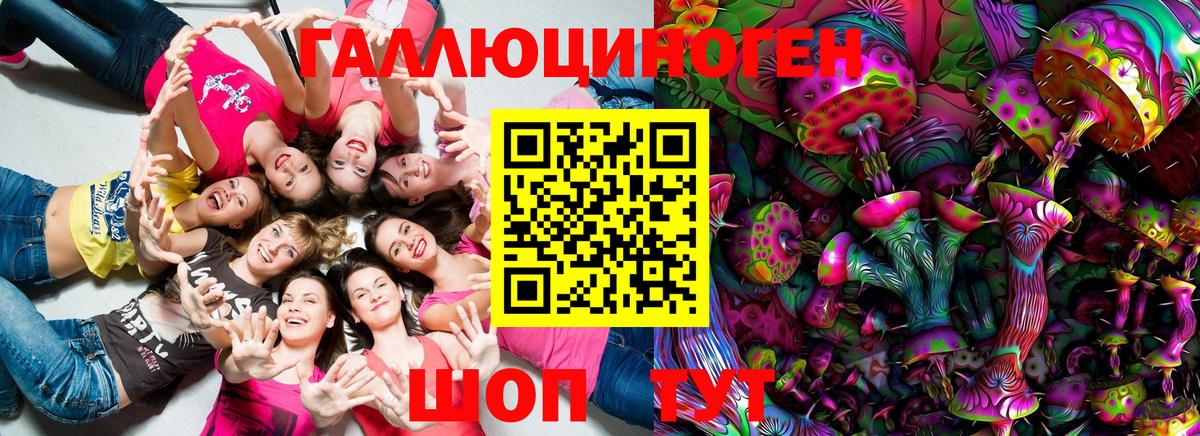 Галлюциногенные грибы MAGIC MUSHROOMS  Псилоцибиновые грибы Psilocybine cubensis  Мытищи  Вход с VPN 